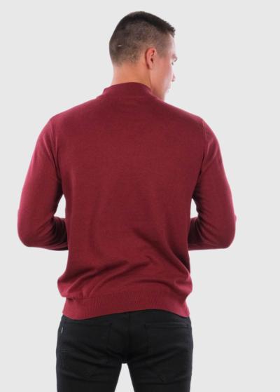 Eoghan бордовая водолазка с высоким воротом - back