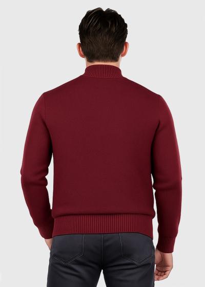 Autis bordo džemperis ar augstu apkakli - back