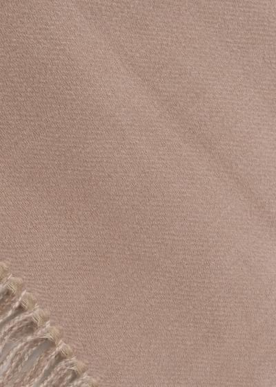 Mel šalle ar bārkstīm  - back