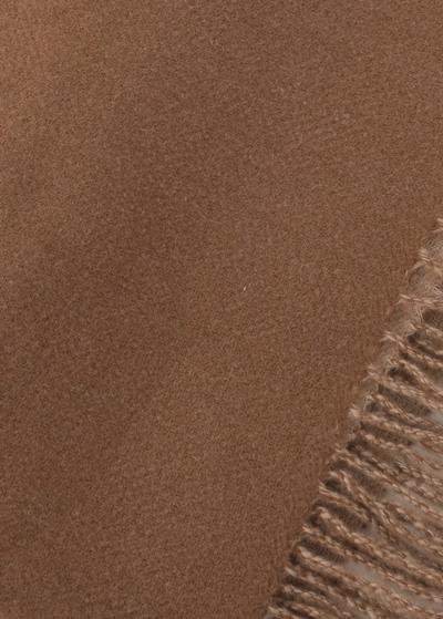 Mel šalle ar bārkstīm  - back