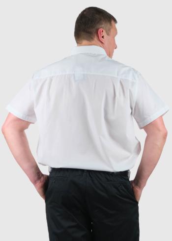 Modesto белая рубашка Большого размера - back