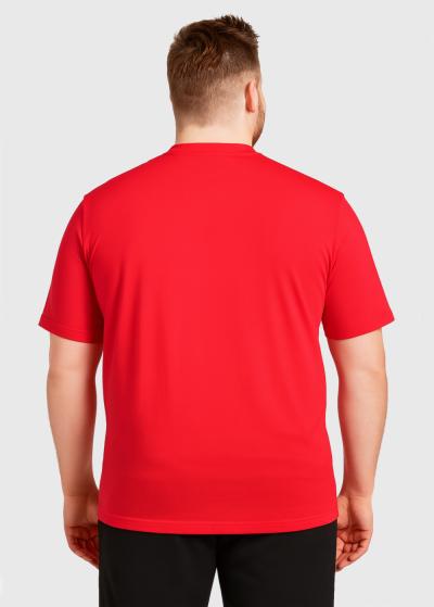 Aurelio Lielo izmēru sarkans vīriešu t-krekls - back