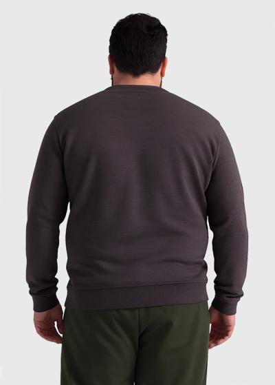 Calogero Lielo izmēru pelēks džemperis - back