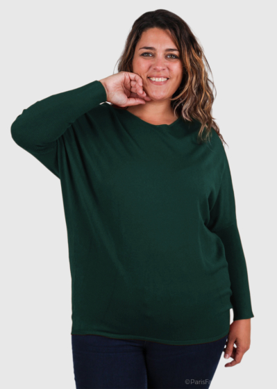 Dariellа Plus Size green womens sweater