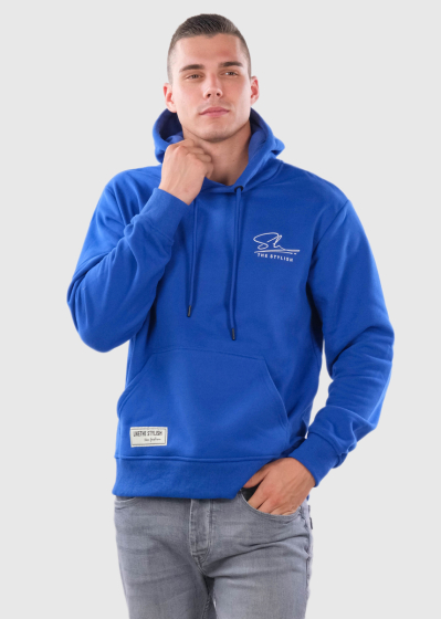 Erdan blue mens hoodie