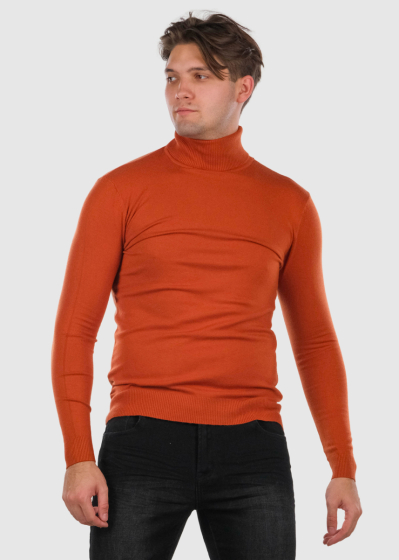 Sergio brown men's turtleneck