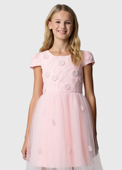 Lesta pink dress with embellished upper