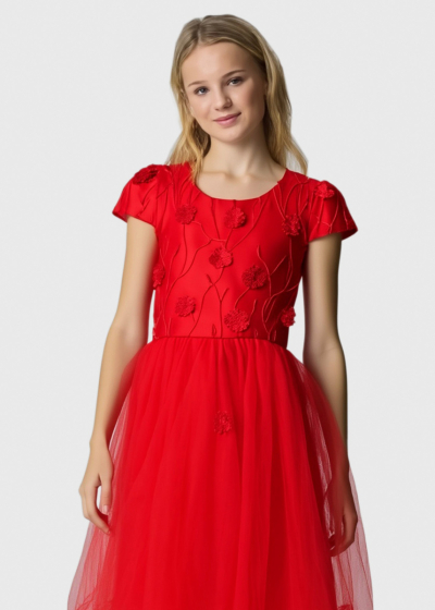 Lesta red dress with embellished upper