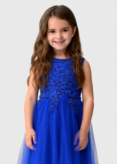 Keito blue dress with embellished upper