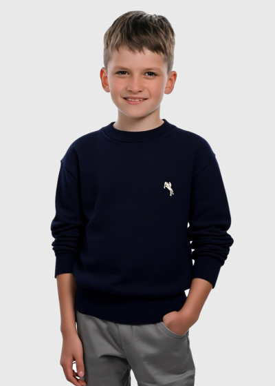 Ame dark blue sweater