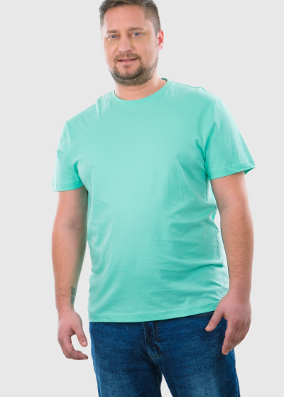 Aurelio Plus Size mint mens t-shirt
