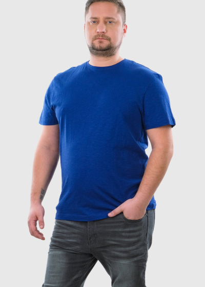 Nicola Plus Size blue organic cotton men's t-shirt