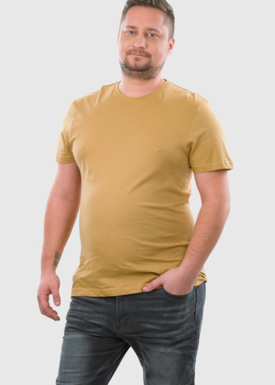 Aurelio Plus Size sand color mens t-shirt