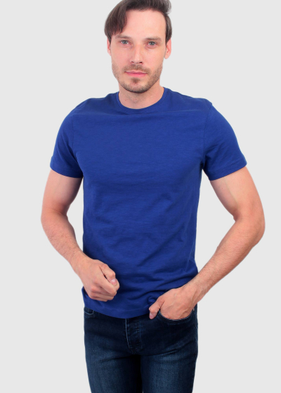 Nicola blue organic cotton men's t-shirt